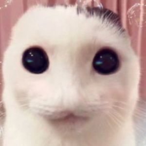 Meet your Posher, Wilo